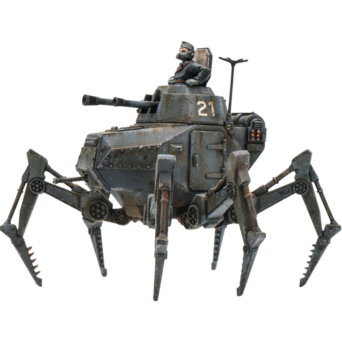 Vogelspinne Light Walker