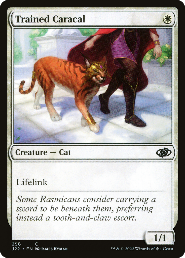 Trained Caracal [Jumpstart 2022]