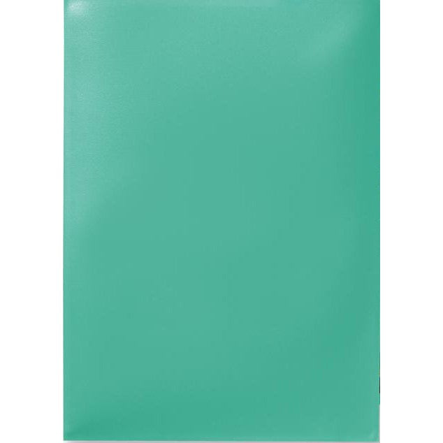 Dragon Shield Sleeves Classic 100ct
