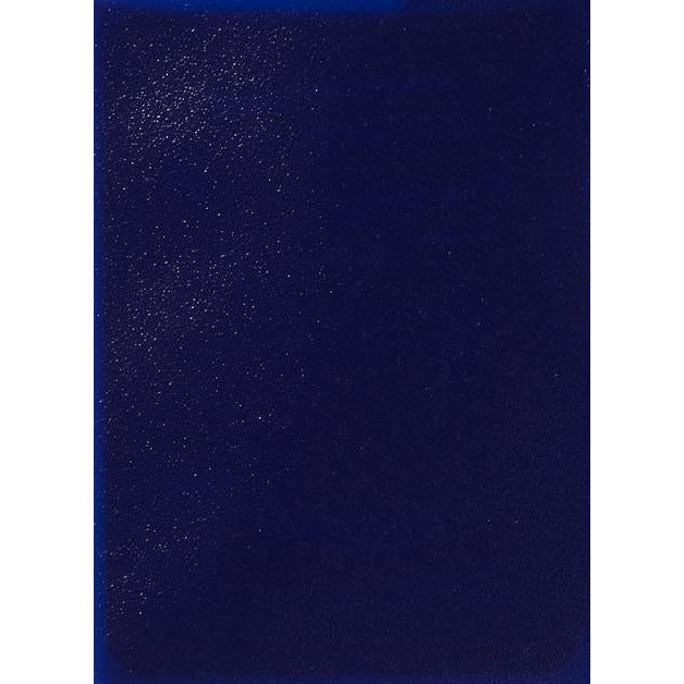 Dragon Shield Sleeves Matte 100ct