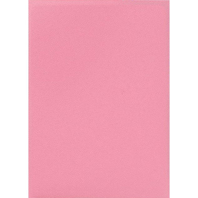Dragon Shield Sleeves Matte 100ct