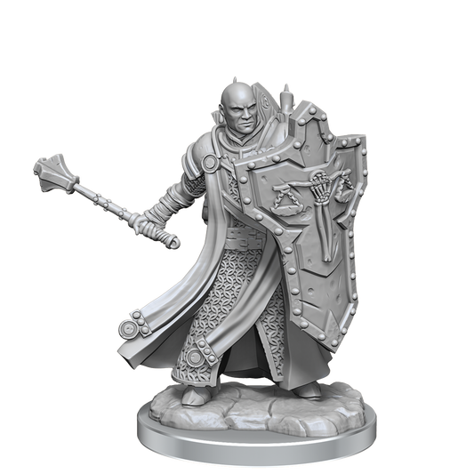 D&D Unpainted Minis: Frameworks - Human Cleric