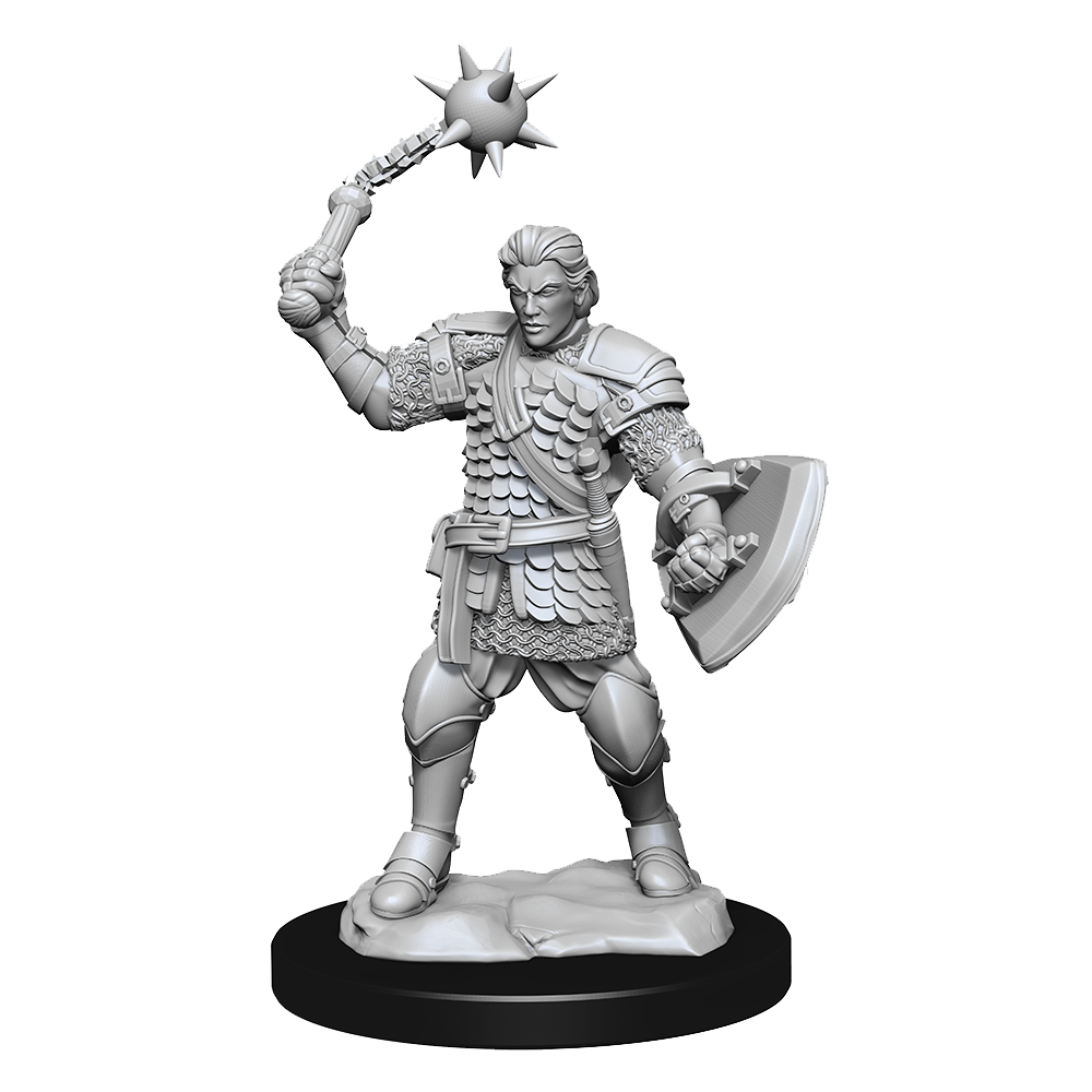 Critical Role Unpainted Minis: Human Clovis & Concord Cleric