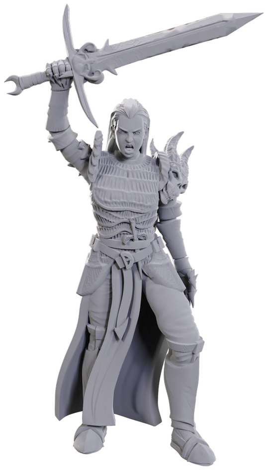 D&D Unpainted Minis: Blackguard (90772)