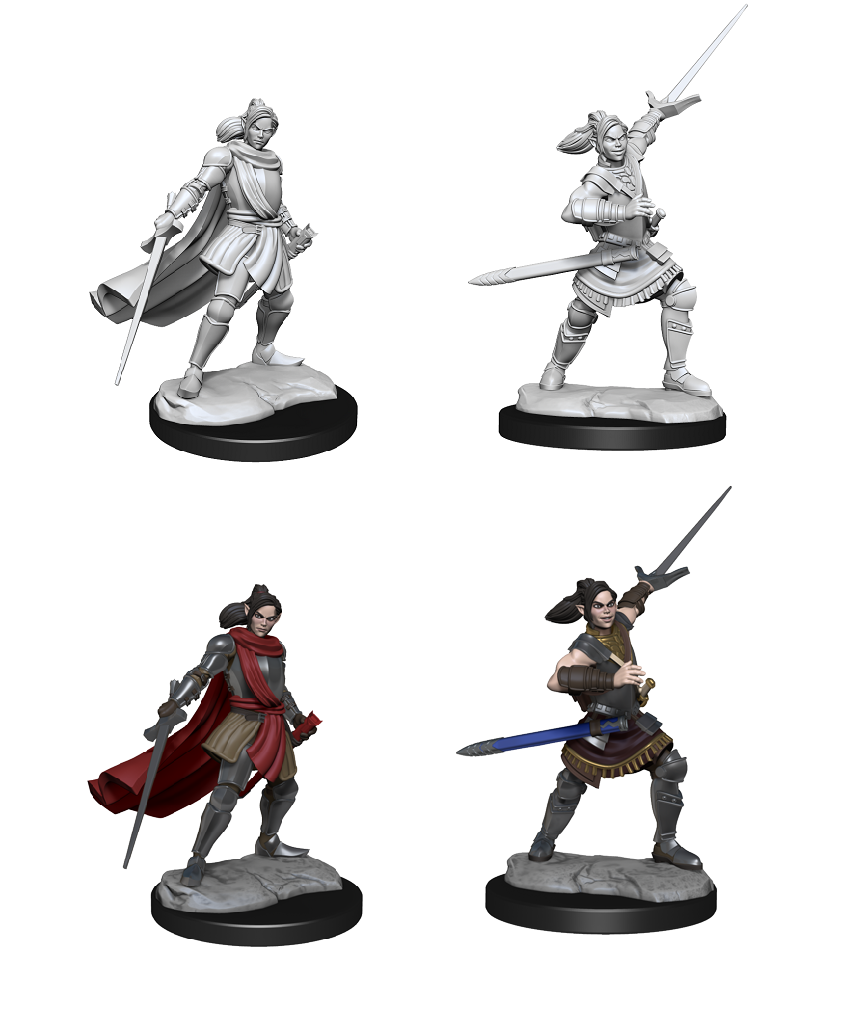 Critical Role Unpainted Minis: Half-Elf Xhorhas Paladin